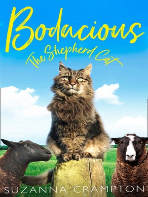 cover image of Bodacious